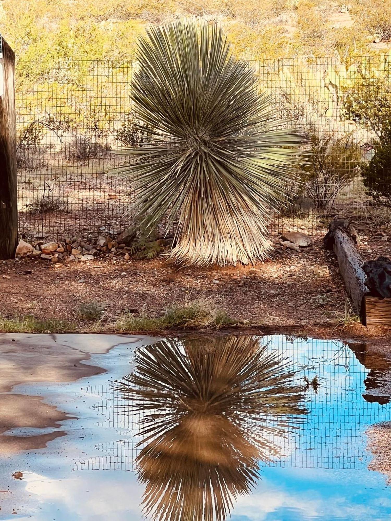 Hole In The Wall Getaway - Usa Mexico Border Bed And Breakfast Columbus Luaran gambar